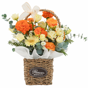 햇살 가득한 날